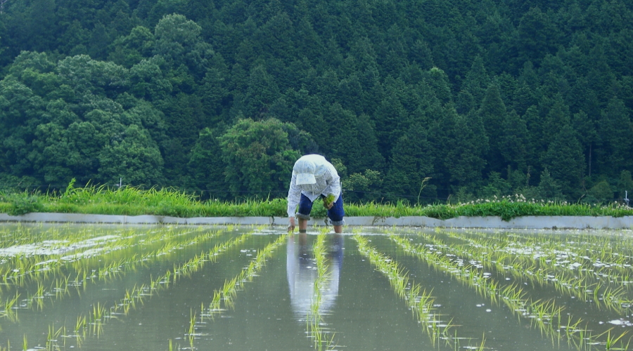 農作業受託で地域創生