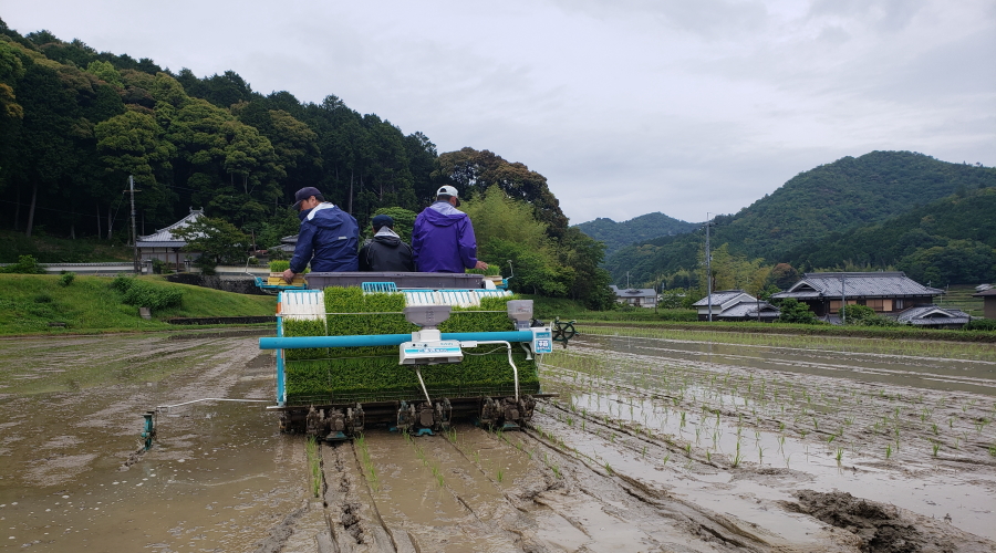 耕作放棄地の農作業受託