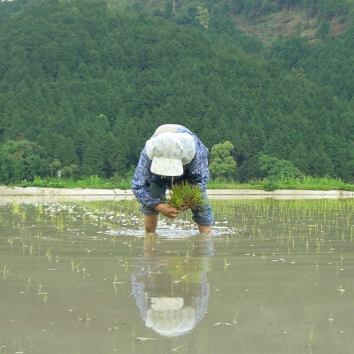 里山農業