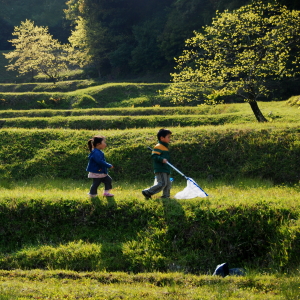 里山環境景観保全